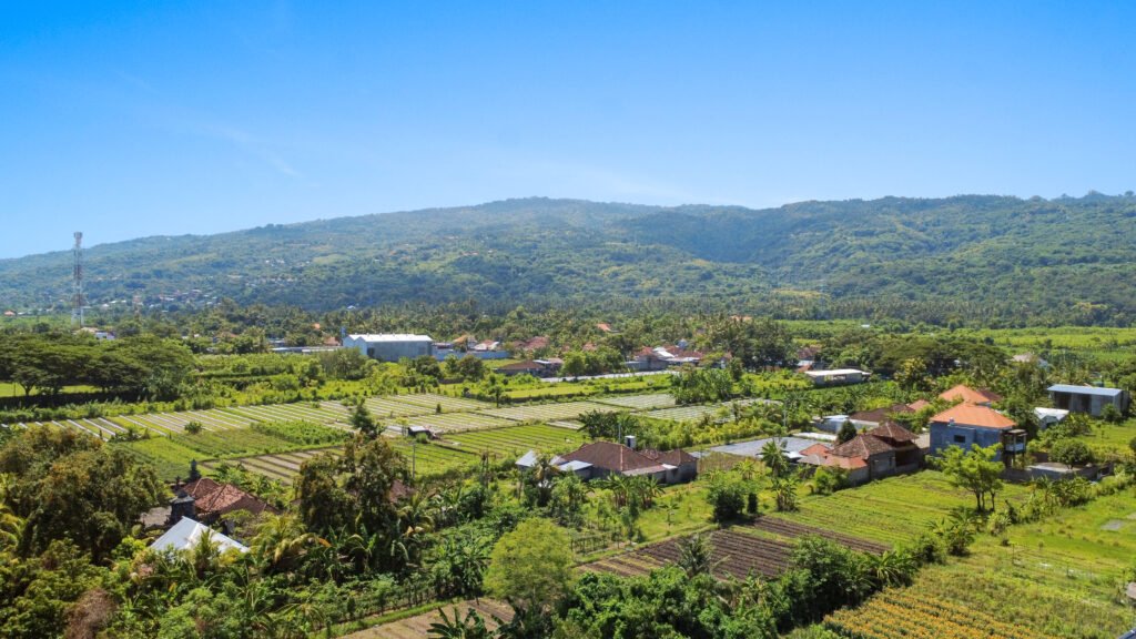 Lush green mountains and agricultural gardens leading to the north coast of Bali.
