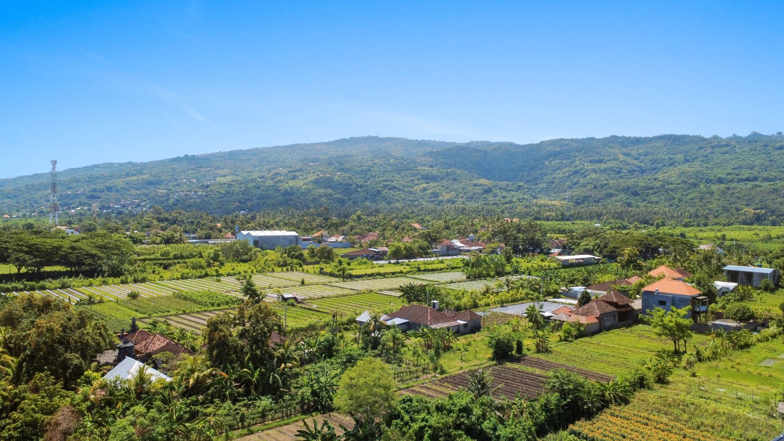 Lush green mountains and agricultural gardens leading to the north coast of Bali.