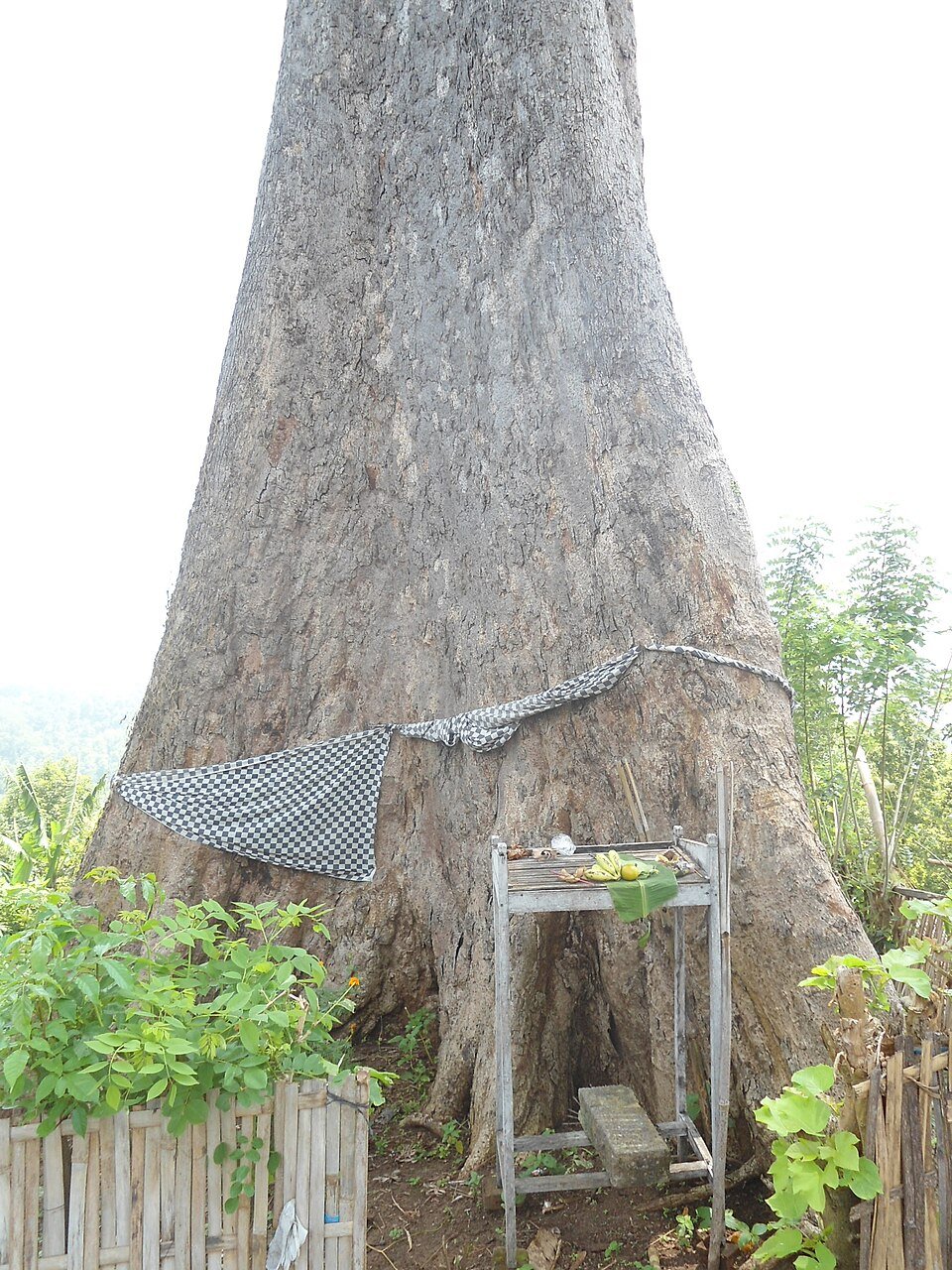 Bali Aga sacred tree shrine in the village of Sidetapa, North Bali